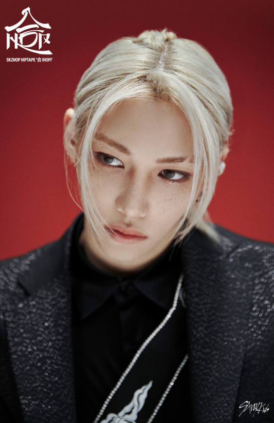 Stray kids (SKZ) poster