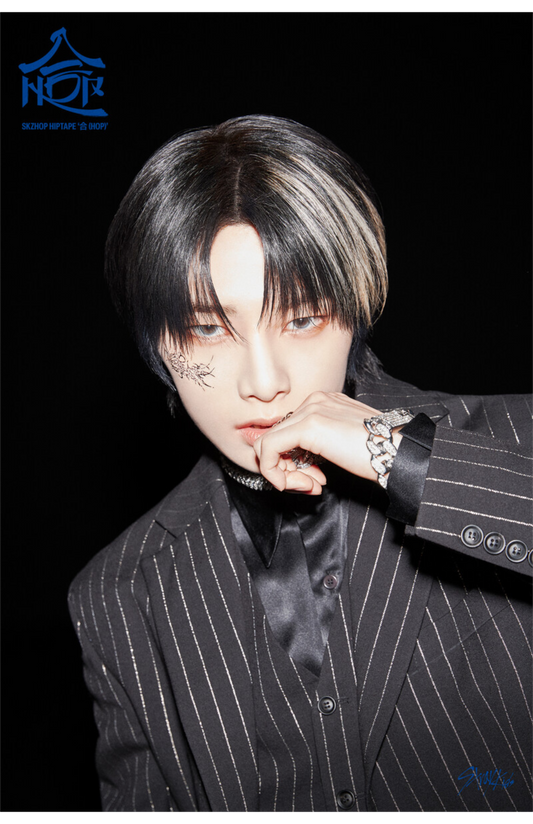 Stray kids (SKZ) poster