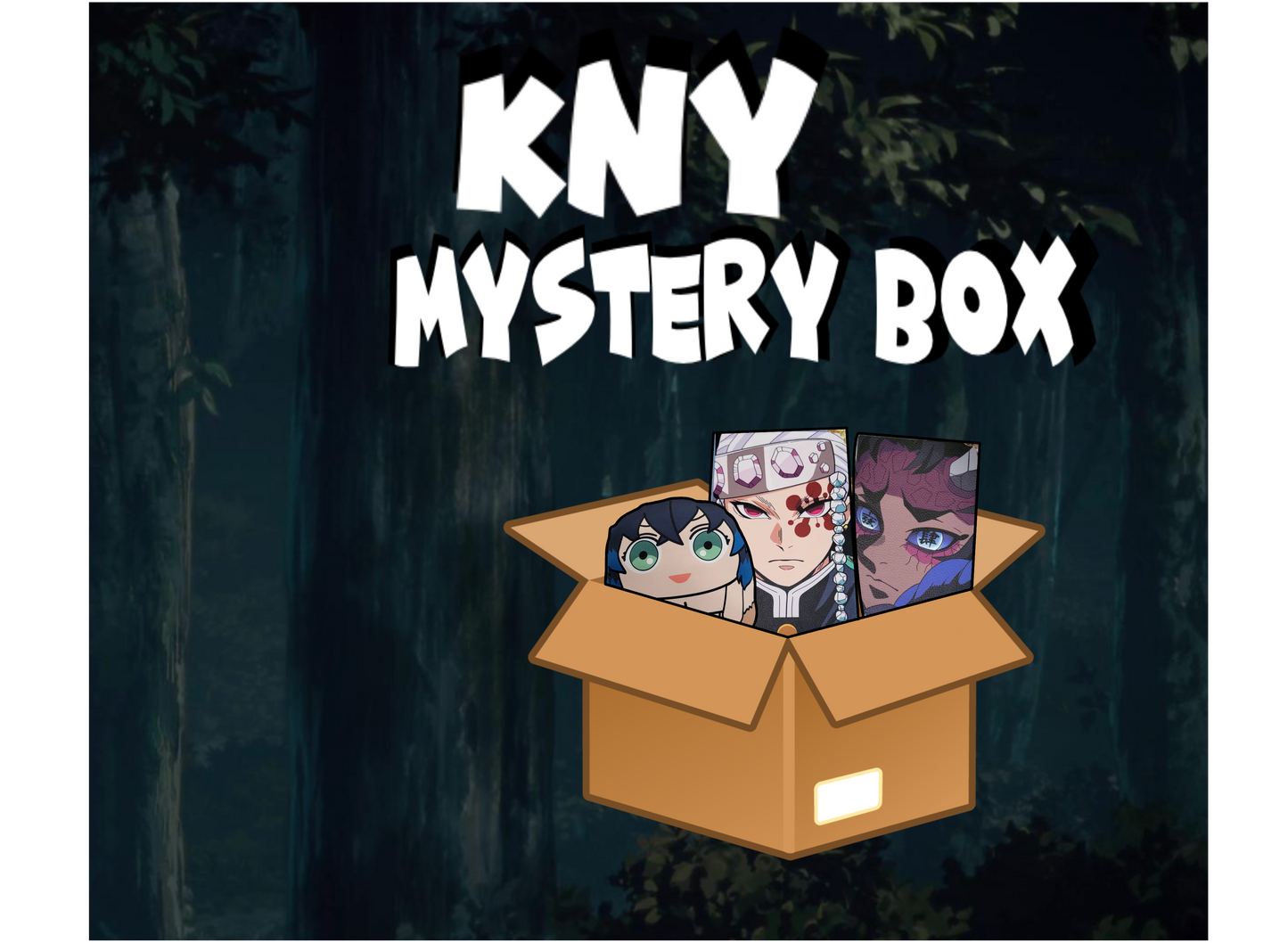 *BRAND NEW* DS Mystery Box