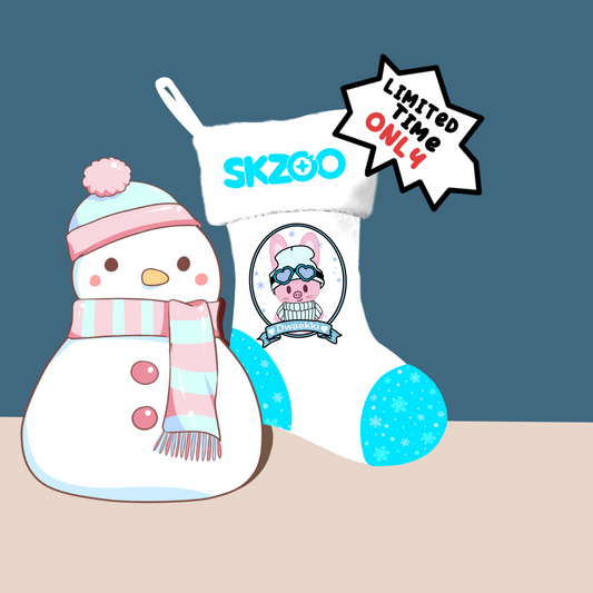 Skzoo Dwea(SKZ) Anime Christmas stockings