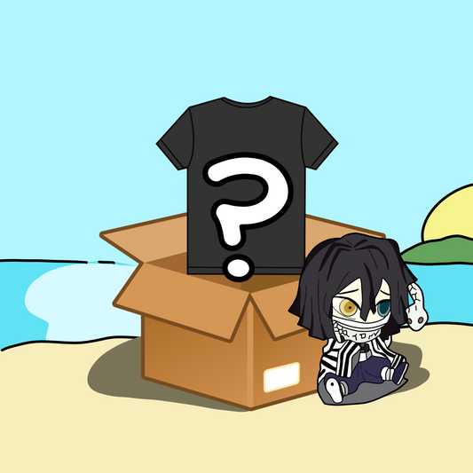 Demon Slayer (DMNS) mystery shirt box