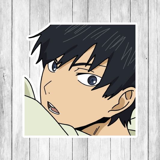 Haikyuu! (Hi Q) Anime Stickers