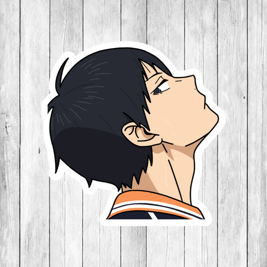 Haikyu (Hi Q) PEEKER DECAL