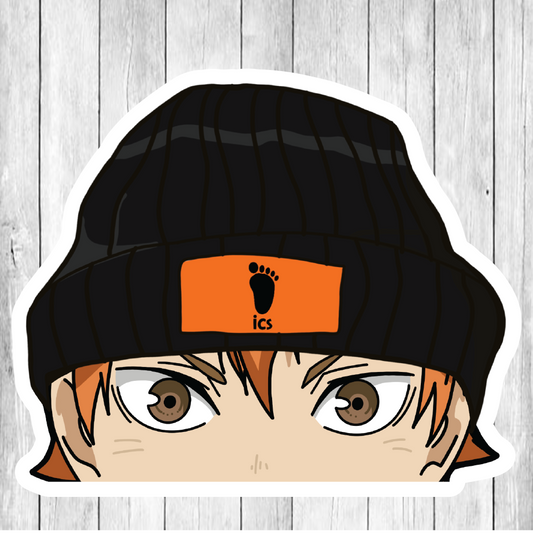 Haikyu (Hi Q) PEEKER DECAL