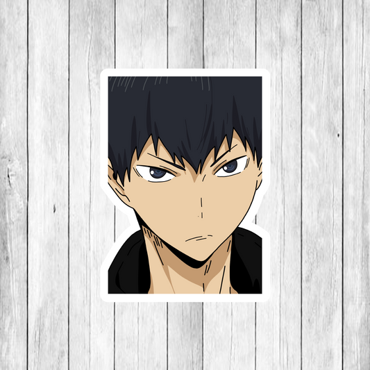 Haikyu (Hi Q) PEEKER DECAL