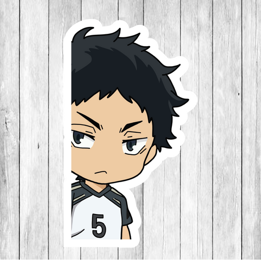 Haikyu (Hi Q) PEEKER DECAL