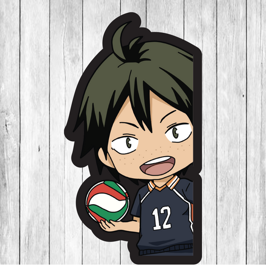 Haikyu (Hi Q) PEEKER DECAL