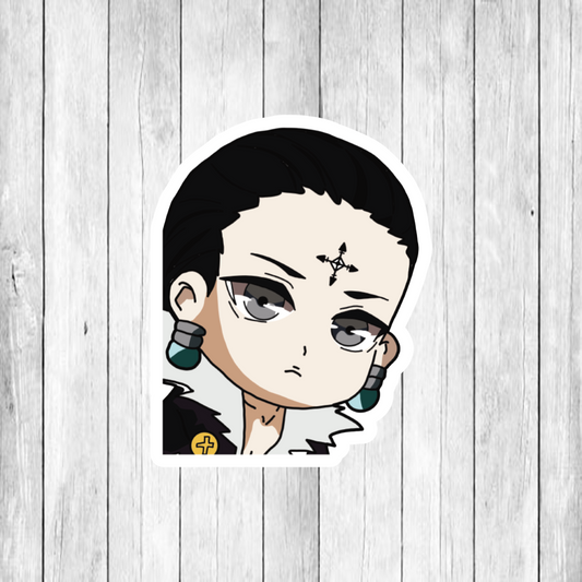 Hunter x Hunter (HxH) PEEKER DECAL