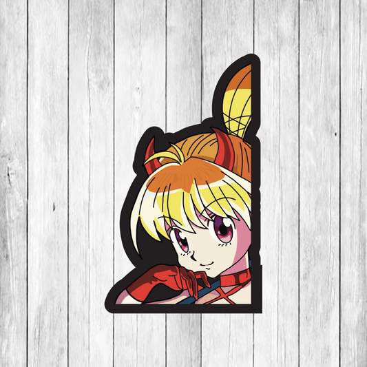 Hunter x Hunter (HxH) PEEKER DECAL